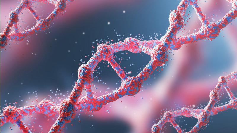 大人が楽しむ科学教室「最新ゲノム研究が解き明かす微生物生態系の仕組み―ヒト腸内から極限環境まで―」