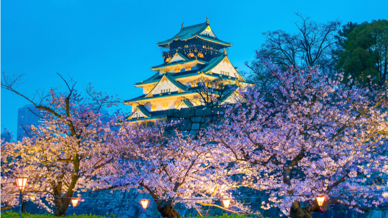 お城EXPO 2018 Photo Contest